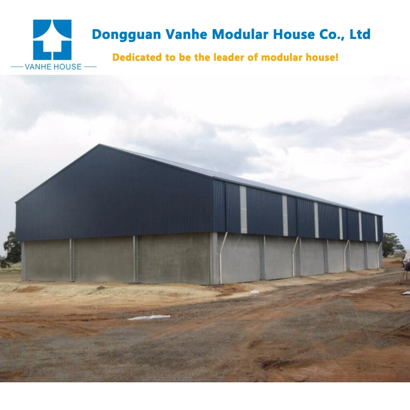 OEM Design Wind-Resistant Building Materials Light Steel Structure Warehouse Workshop