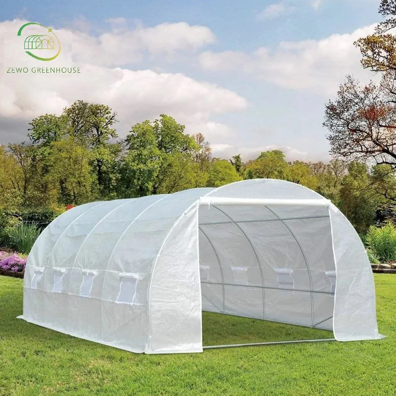 Low Cost Agricultural Home Garden Greenhouse with High quality/High cost performance  for Sale