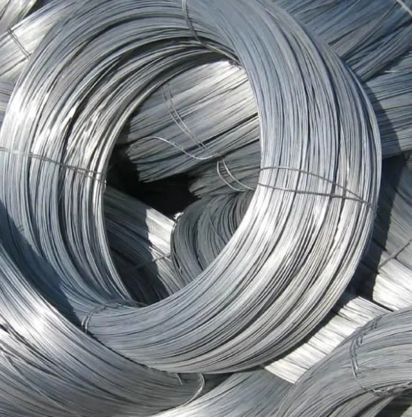 Support Inspection/0.25 0.5 0.7 3.0/Q195 Low Carbon Steel Wire/Galvanized Spring Wire