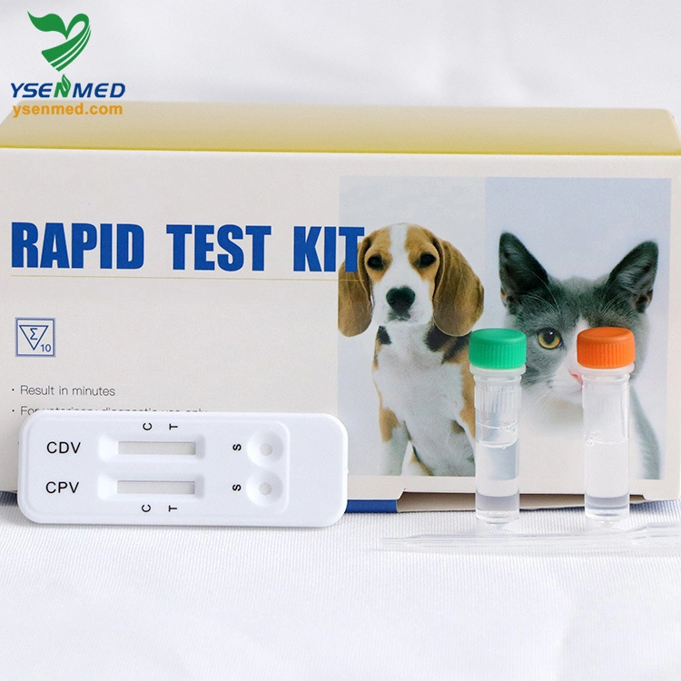 Medical Equipment Veterinary Rapid Felv AG Feline Leukemia Virus Antigen Test
