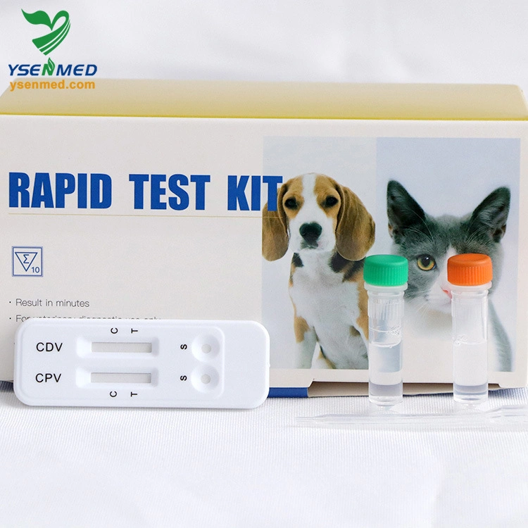 Matériel médical vétérinaire Rapid Felv AG Feline virus de la leucémie Antigen Test