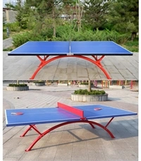 Sports Park blue and White Outdoor Ping Pong Table