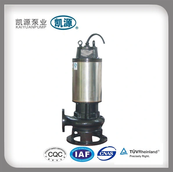 Shanghai Kaiyuan Qw Submersible Vertical Sewage Pump