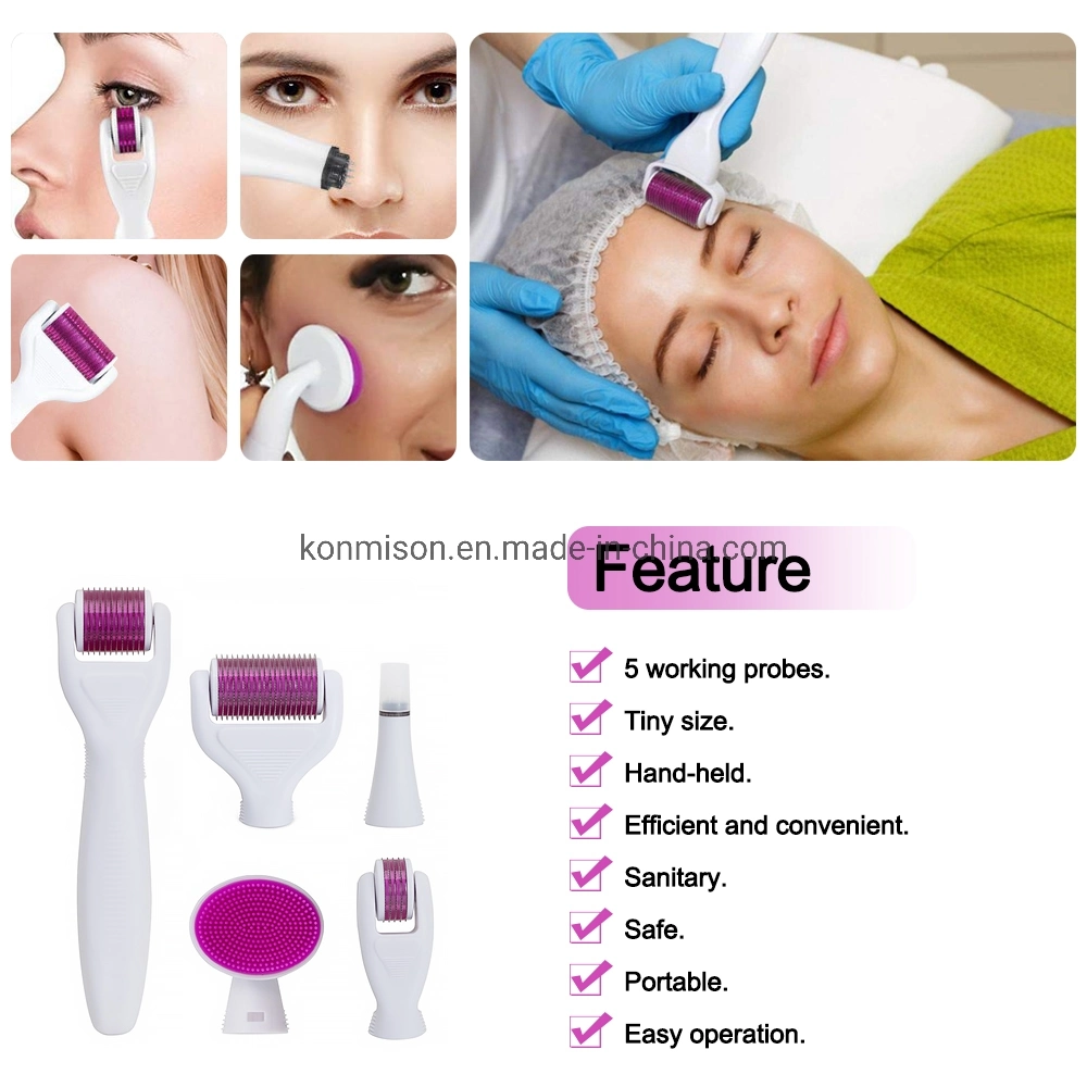 6 en 1 Kit de sistema de rodillo Derma Microneedle Dermaroller de titanio para el rostro y cuerpo Skin Care