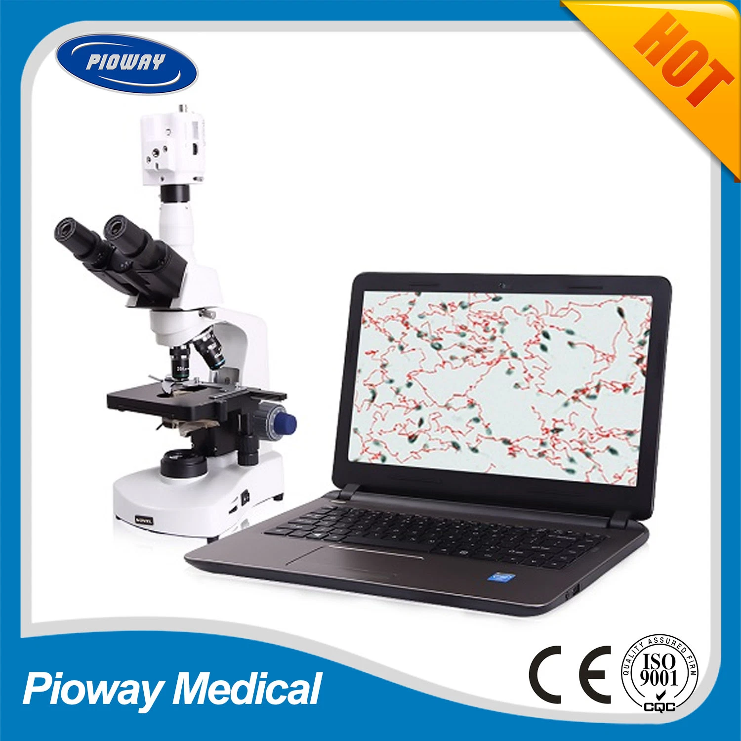 Medical Laptop Sperm Quality Analyzer Pl-6800p