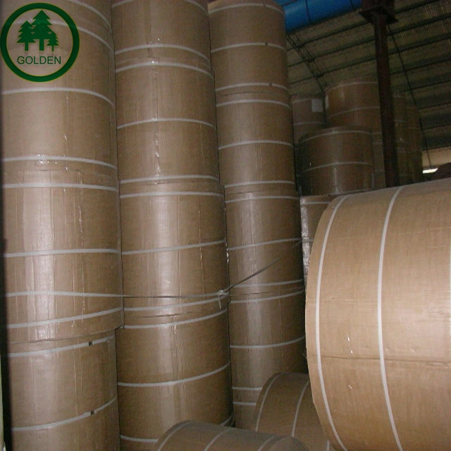 Big Size Thermal Paper Normal and Long Image Life Thermal Paper Rolls Plain White OEM Good Color