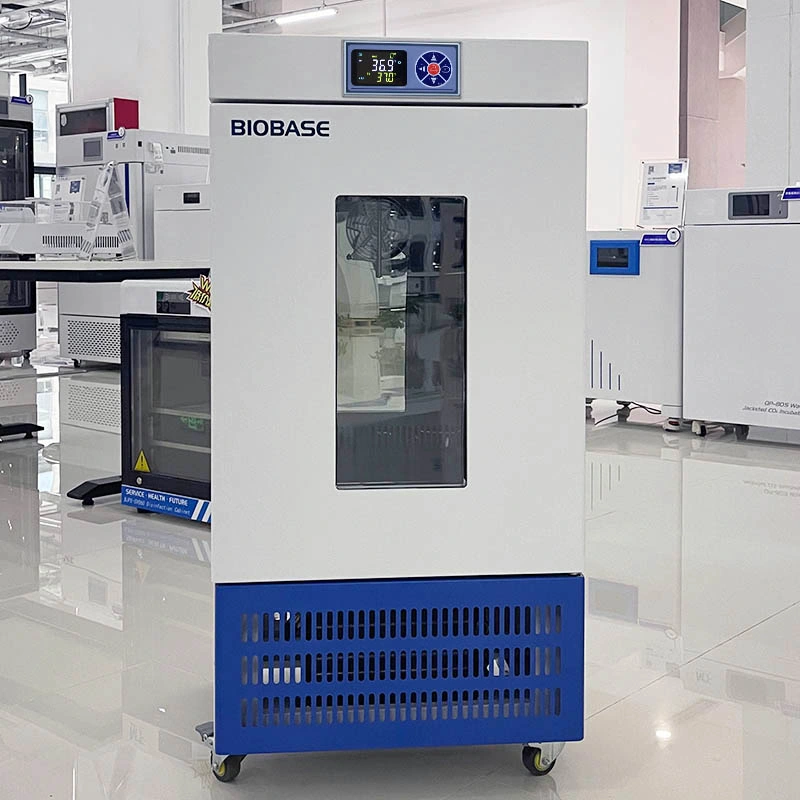 Biobase bioquímica incubadora 0-60 grados de gran capacidad 200L