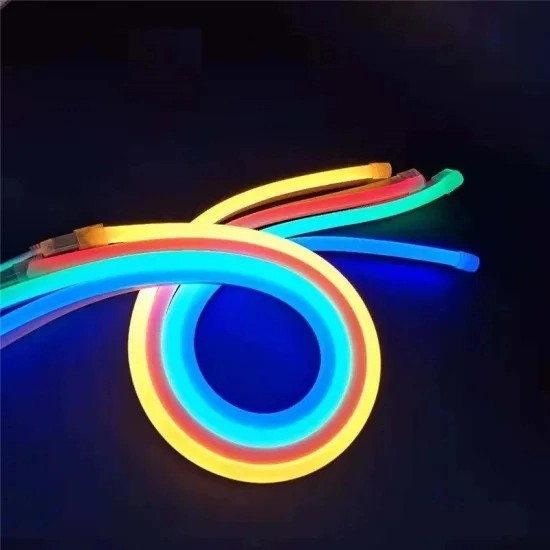 2019 Nuevo DIY personalizado de silicio LED luces tiras de neón neón de la actividad de la etapa Outdoog