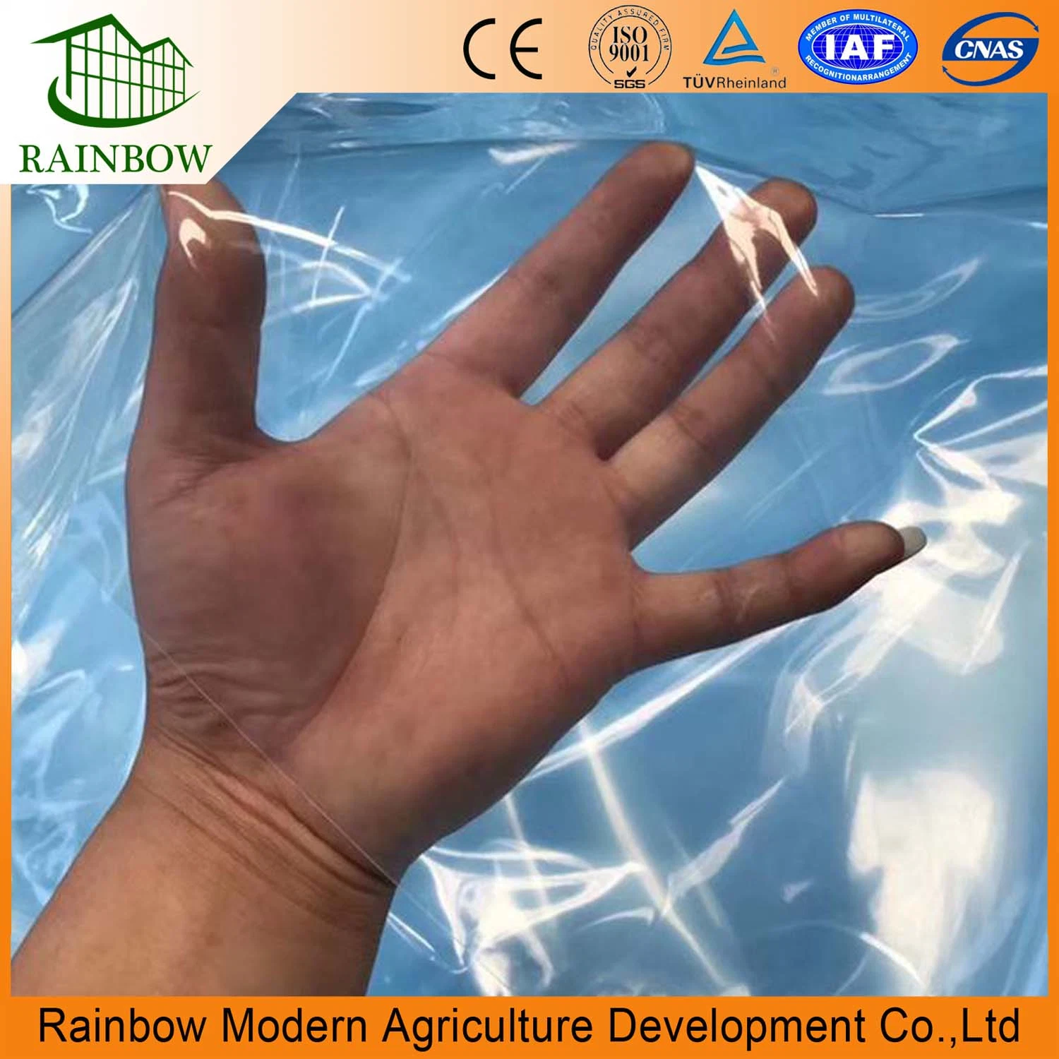 Plastic Film for Greenhouse Green House Plastic Agricultural Film