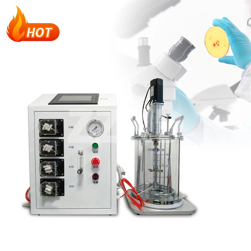 Small Laboratory Benchtop Bioreactor Fermenter 1L 2L 3L 5L 7L 10L 20L Anaerobic Glass Bioreactor Fermentor