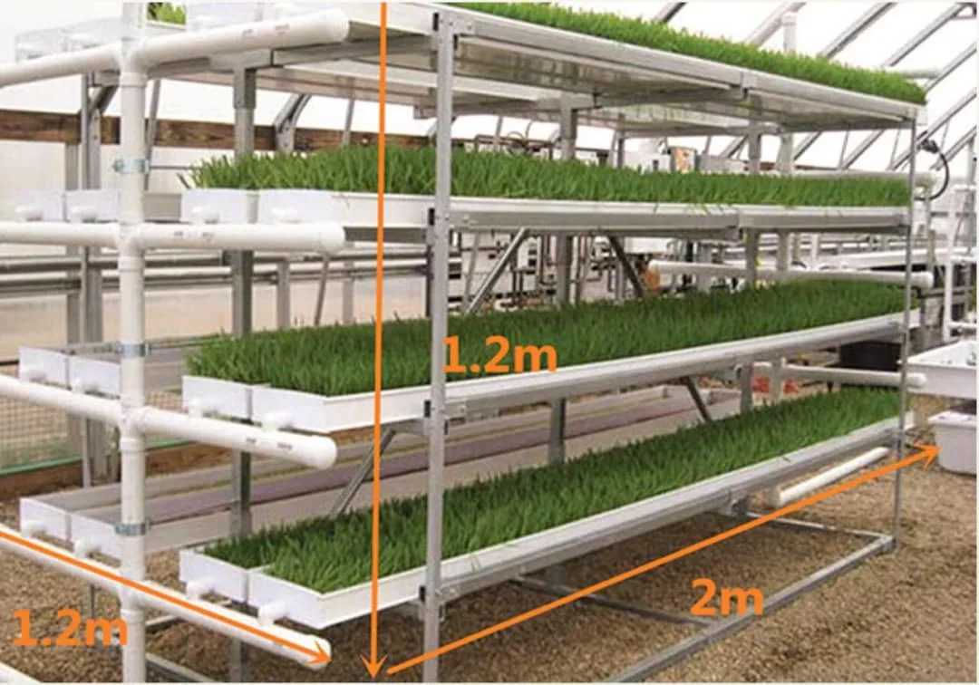 العلف الهيدروغرافي العمودي في الداخل نظام زراعة الأعلاف Hydroponic الماشية الغذاء إنتاج حاوية العلف متعددة الأطراف الخاصة بالآلة