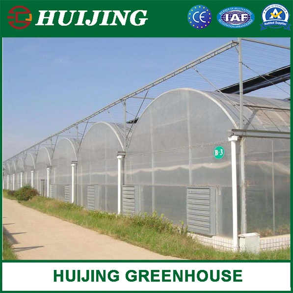 Agricultural Multi Span Po/PE Film Vegetable Greenhouse with Cooling System