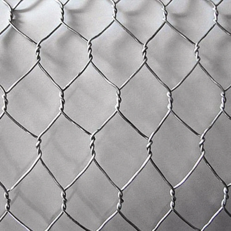 Malla hexagonal de alambre de pollo Netitting malla de tejido galvanizado