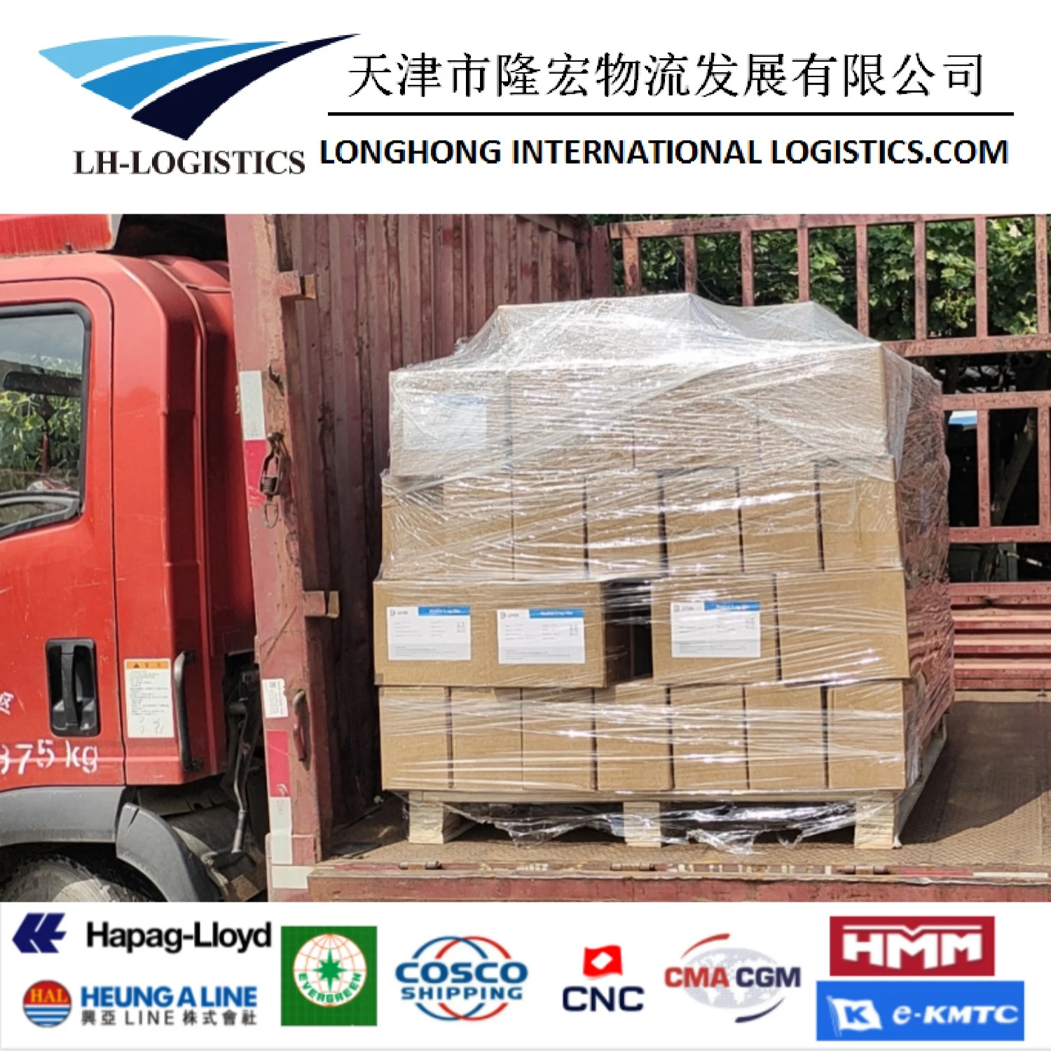 Professional DDP Shipping Service From China to UK/Czech Republic/Denmark/Canada/Brazil