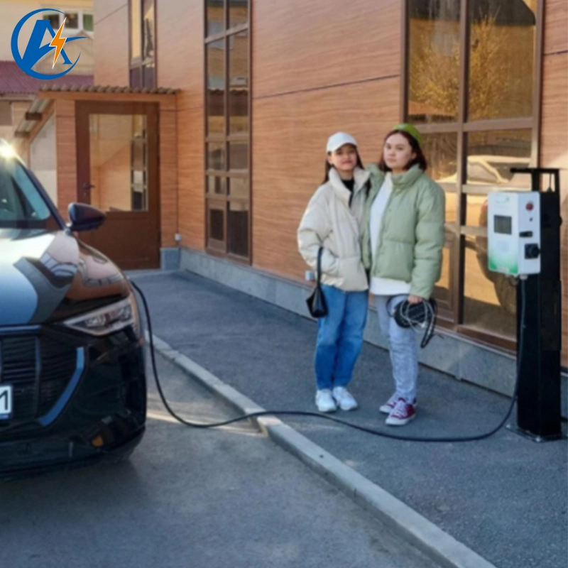 Accesorios de la estación de carga de vehículos eléctricos Alimentación de cargador de CA monofásico Cargador de batería para coche eléctrico