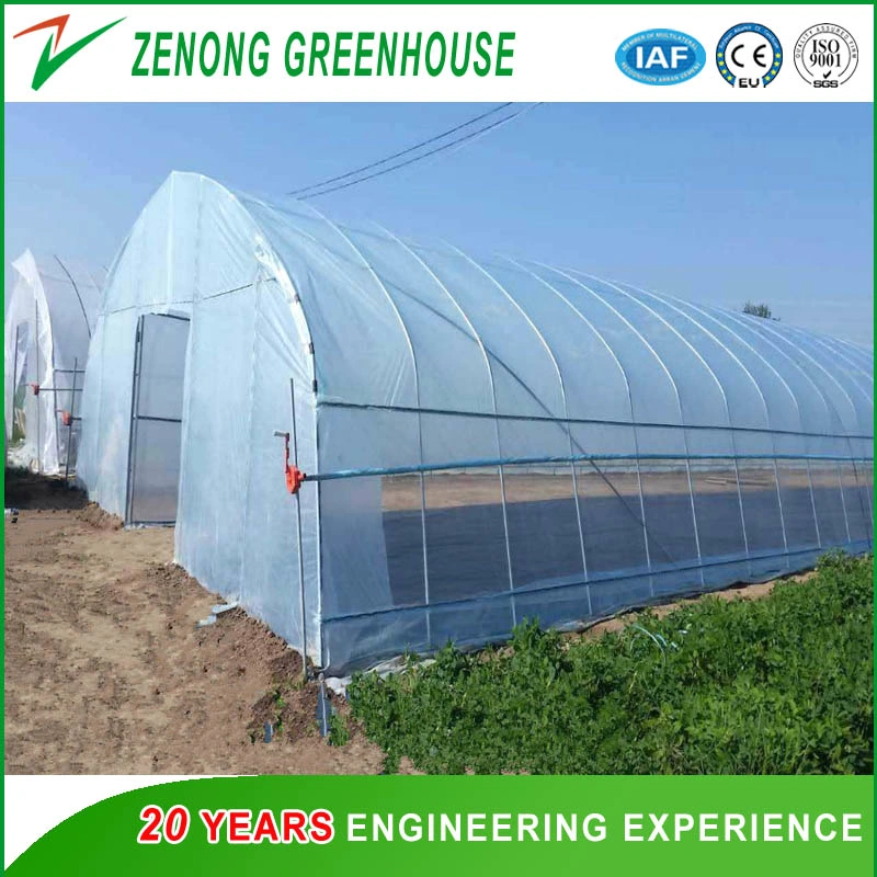 Commercial Poly Film Single-Span Greenhouse with Growing Lights for Vegetable/Flower/Fruit Planting