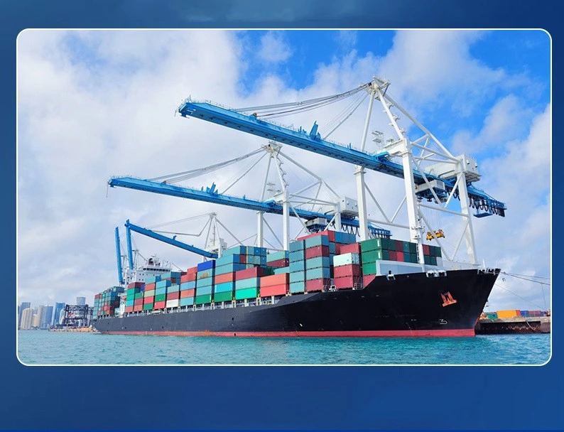 Ksd Freight Forwarder Provides Sea Shipping for India Shipment Transportation Services