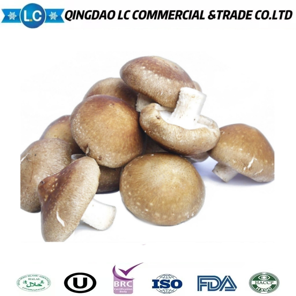 Fresh Frozen Shiitake Mushroom for Sale