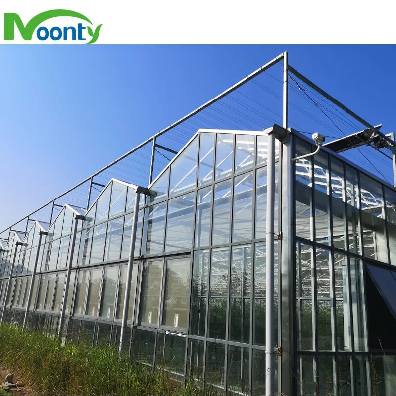 Intelligent High quality/High cost performance Agricultural Glass Greenhouse with Auto Control System