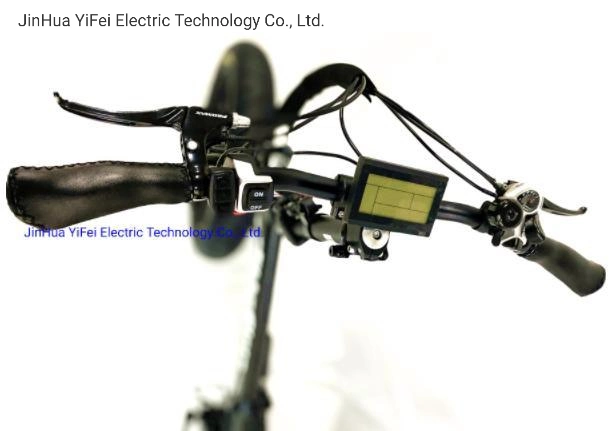 New Hot Sale E-Bike Fat Tire Folding Electric Bicycle Bike Montain/Snow/Beach Bike