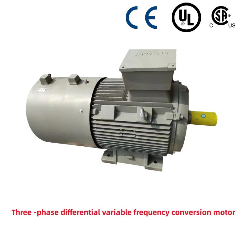 Motor de conversión de frecuencia variable trifásico de baja tensión de hierro fundido/UL Motor inversor de autenticación