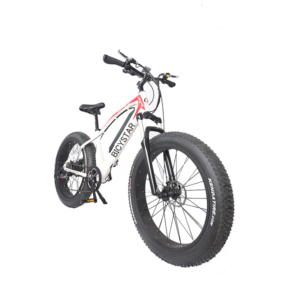 Electric Bike Fatbike/Electric Bycicle 20' Fat Bike/Electric Fat Bicycle/Electric Bike Fat Boy/Electric Fat Bike 250W