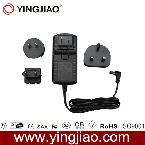 36W Switching Power Adapter for Electric Screwdriver