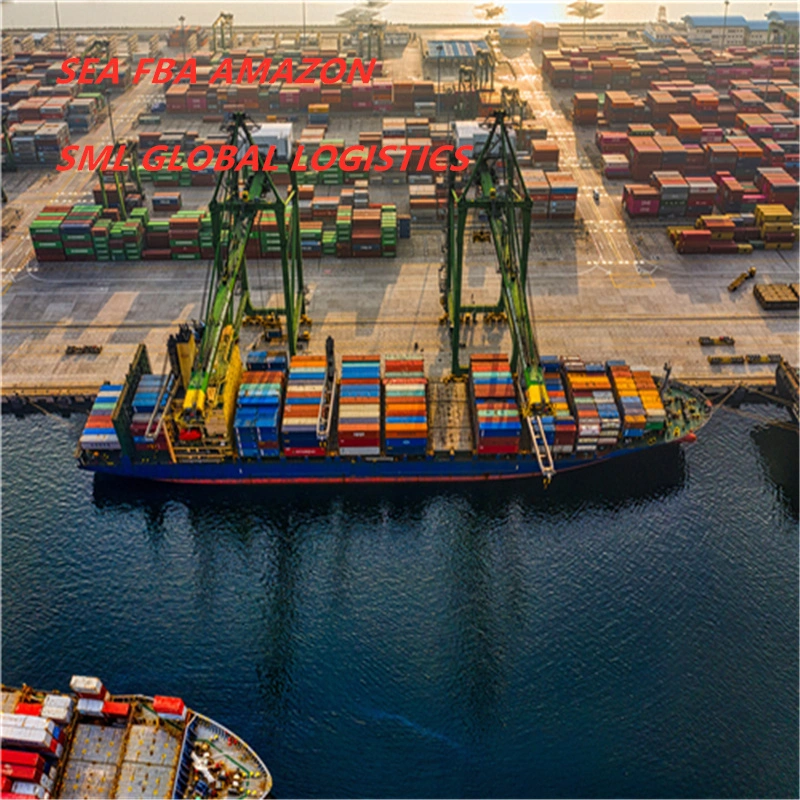 DDP Sea Freight Shipping Tocape Verde/France/Saint Martin/Italy/Malta/Spain/Algeria/Egyptfba Amazon Agents Logistics