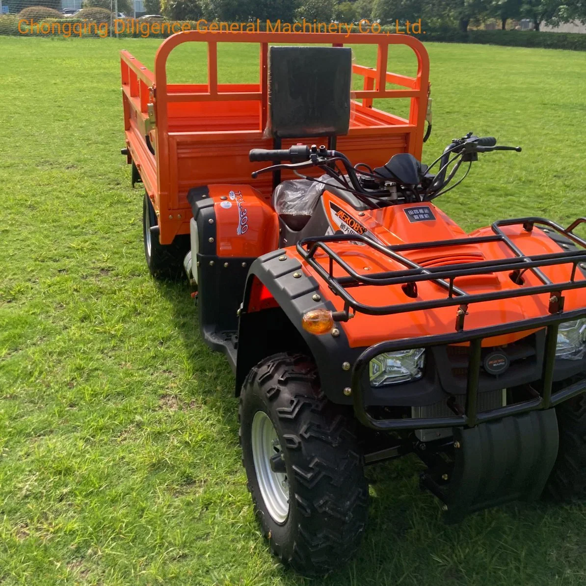 229.3cc Rated Load 300kg ATV Quad Bike Mini Electric Car