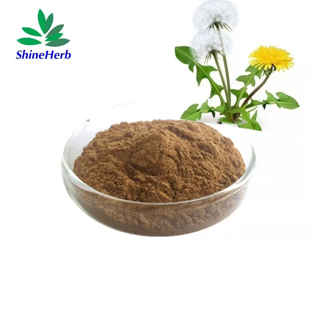 Chinese Traditional Herb Dandelion Flavone Dandelion Root Extract Dandelion Extract