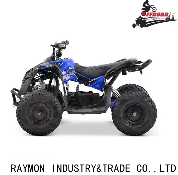 500 W 800 W 1000 W 36 V 12 ah motos 4 Quads elétricas para Crianças