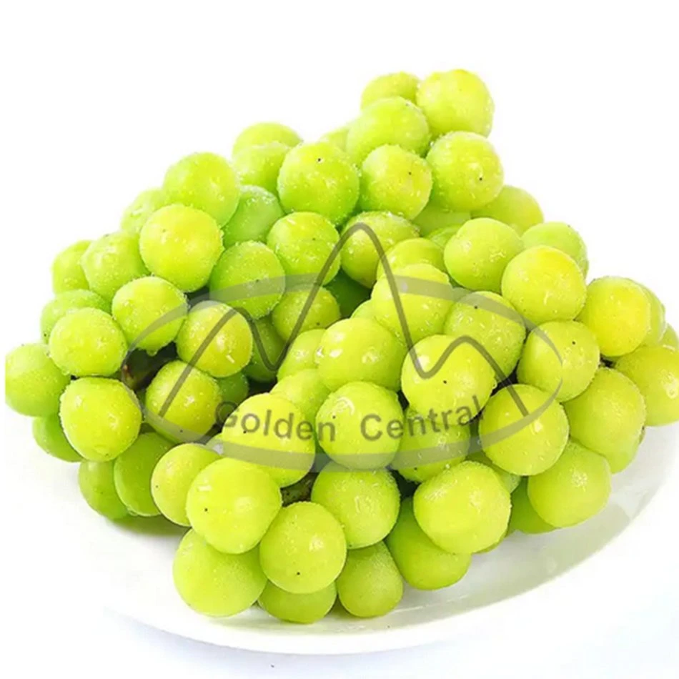 2023 New Season High quality/High cost performance  Sweet Shine Muscat Green Grapes From China