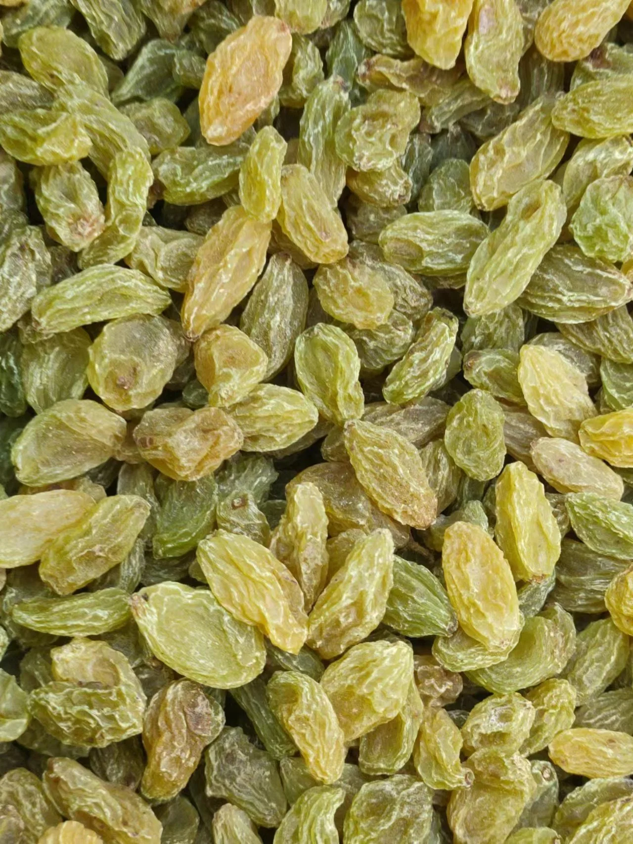 China Dry Raisins 95% Green