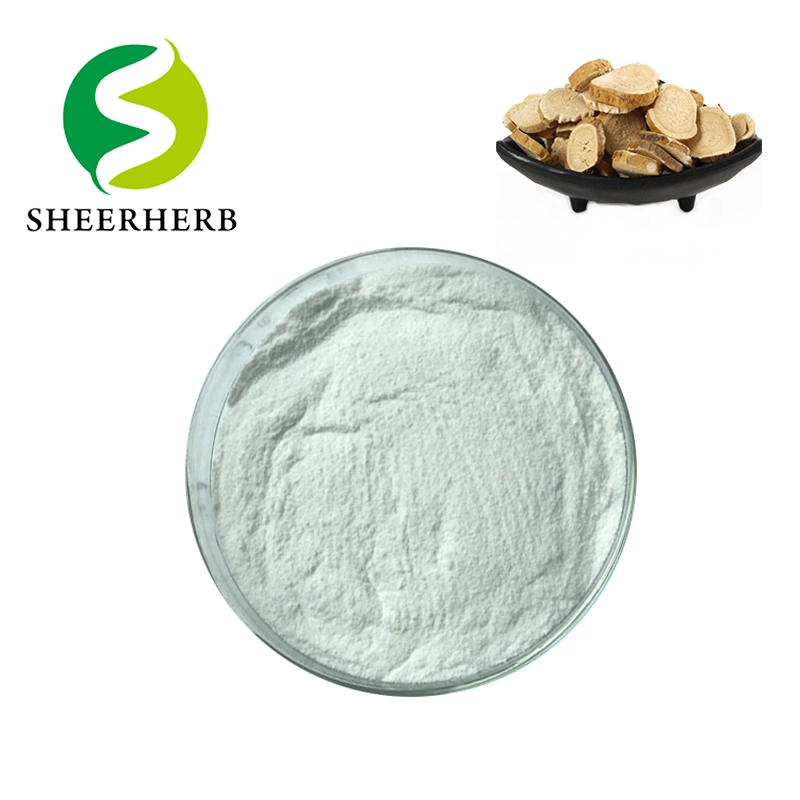 Wholesale CAS 529-02-8 Sophora Flavescens Extract Matrine Powder Matrinee Matrine