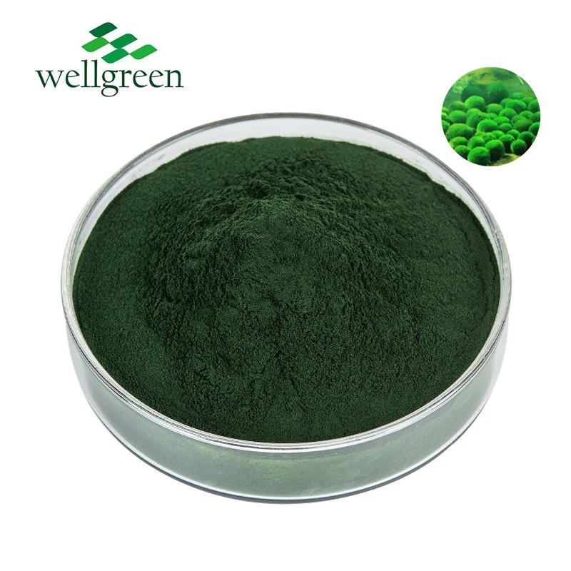 Free Sample Organic Pure Protein Natural Food Additive 99% Green Spirulina and Chlorella Powder