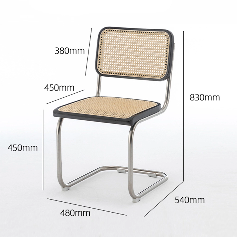 Modern Wicker Chairs Stainless Steel Bow Frame Rattan Chair for Leisure Room