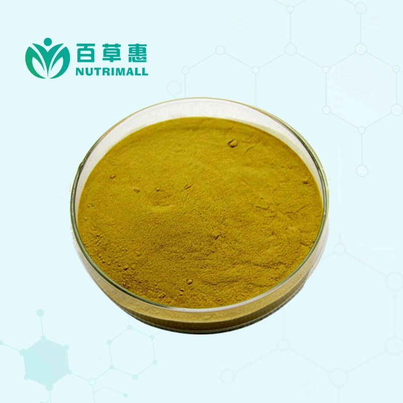 100% Natural Goji Berry Fruit Extract Powder