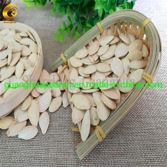 New Crop and Best Quality Shine Skin Pumpkin Seeds