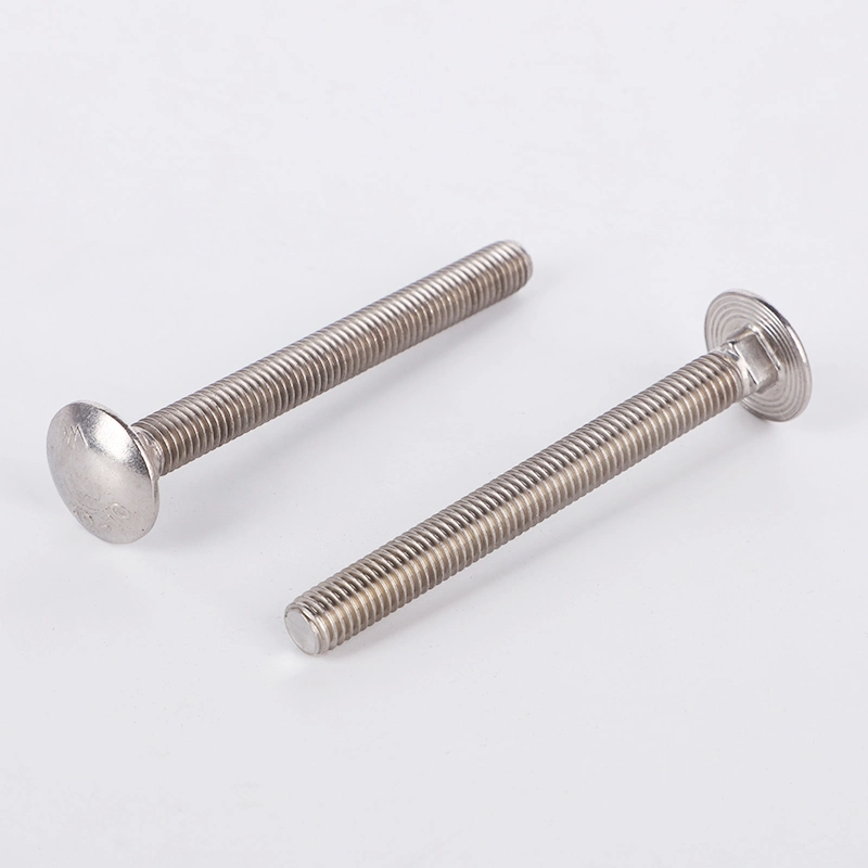 Stainless Steel 304 316 DIN603 Carriage Bolt M8X16 M8X100