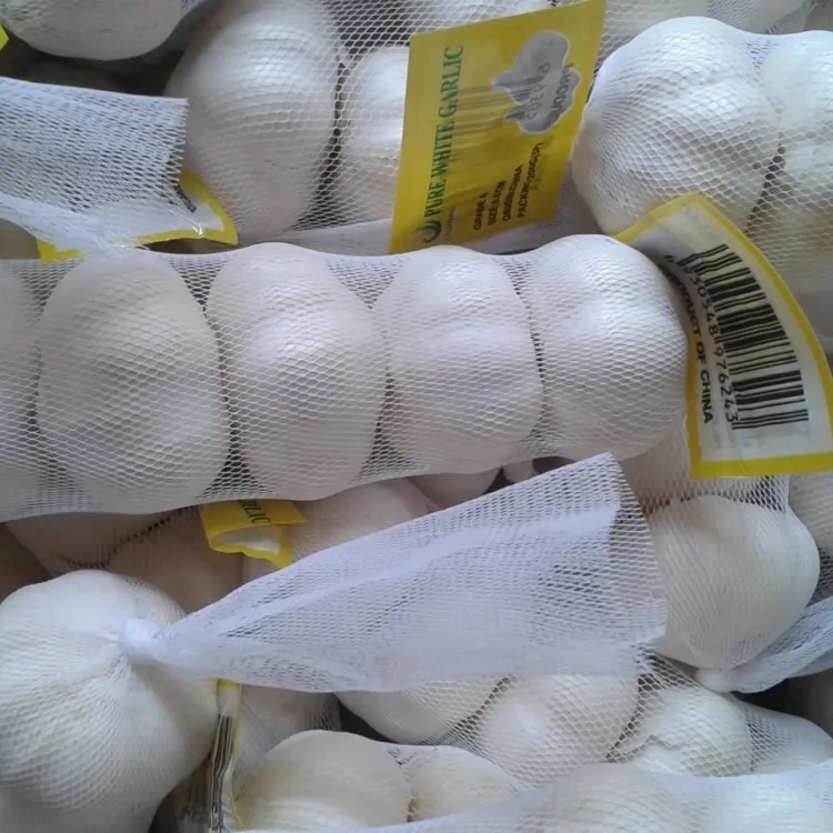 Certified Garlic Fresh New Crop Supplied by Garlic Exporters China for Europe Garlic Market