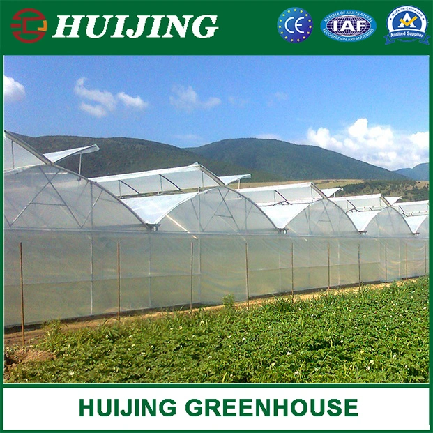 Gothic Butterfly Vent Film Covering Greenhouse with Insect Net