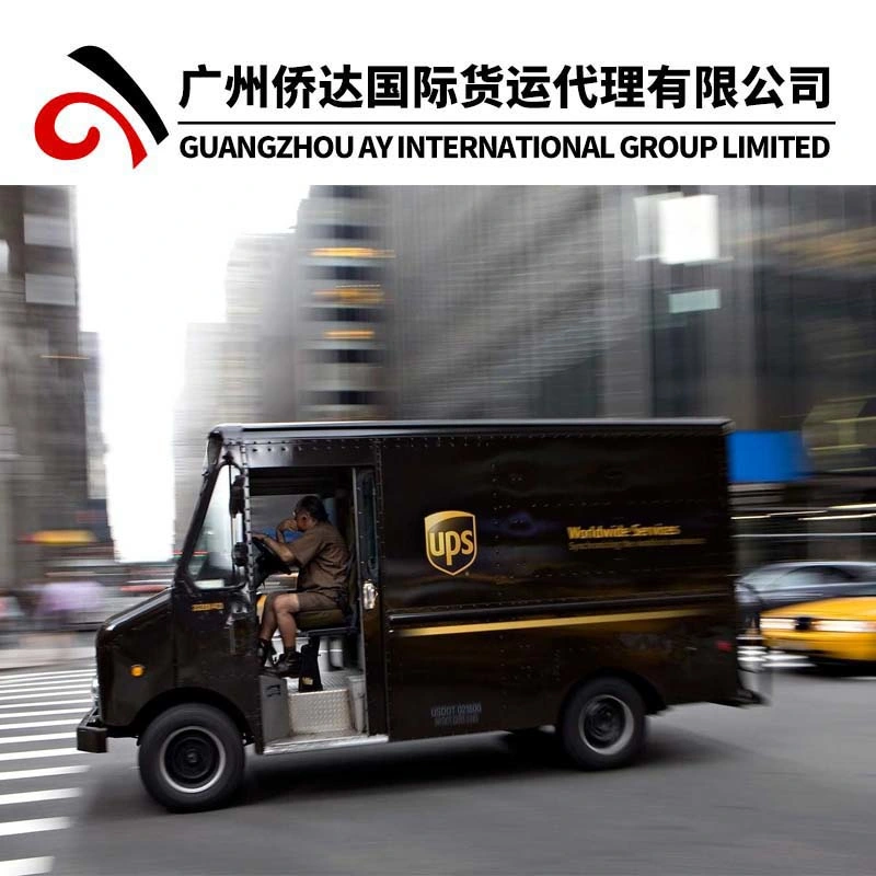 Professional DHL/FedEx/UPS/TNT Shipping Agent From China to Worldwide