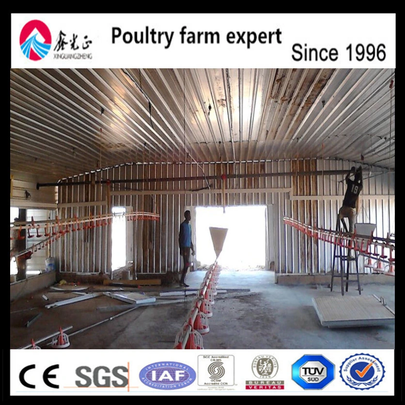 Poultry Feed Growing Broiler Chicks Rate (2018 Best Selling, Discount And Big Sale)