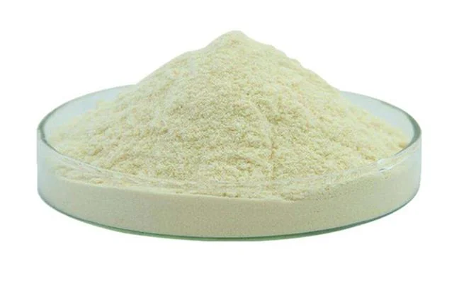 Whey Protein Powder to Improve Immunity Protein Powder