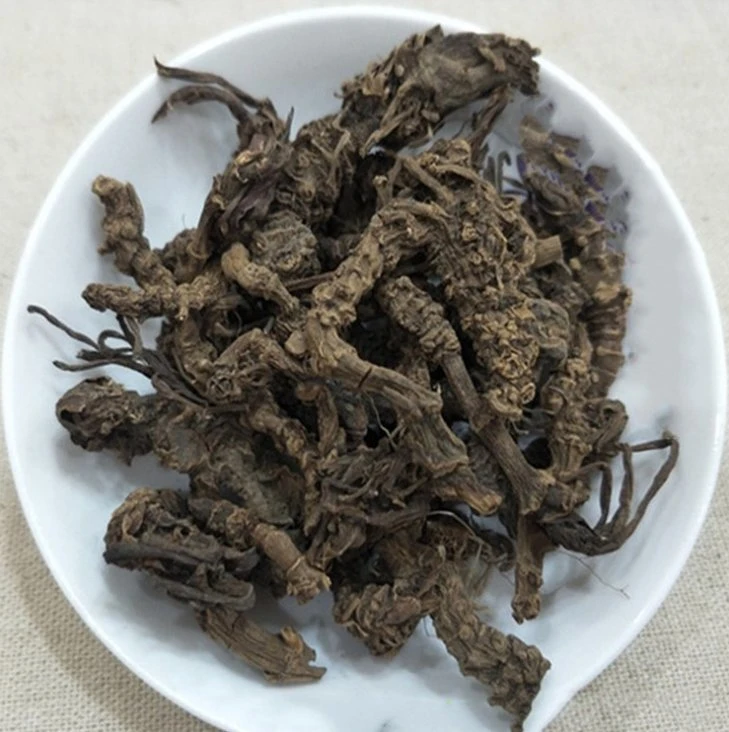 Hot Sale Dry Herb Rhizome of Broadleaf Chinese Common Valeriana Rhizome Roots