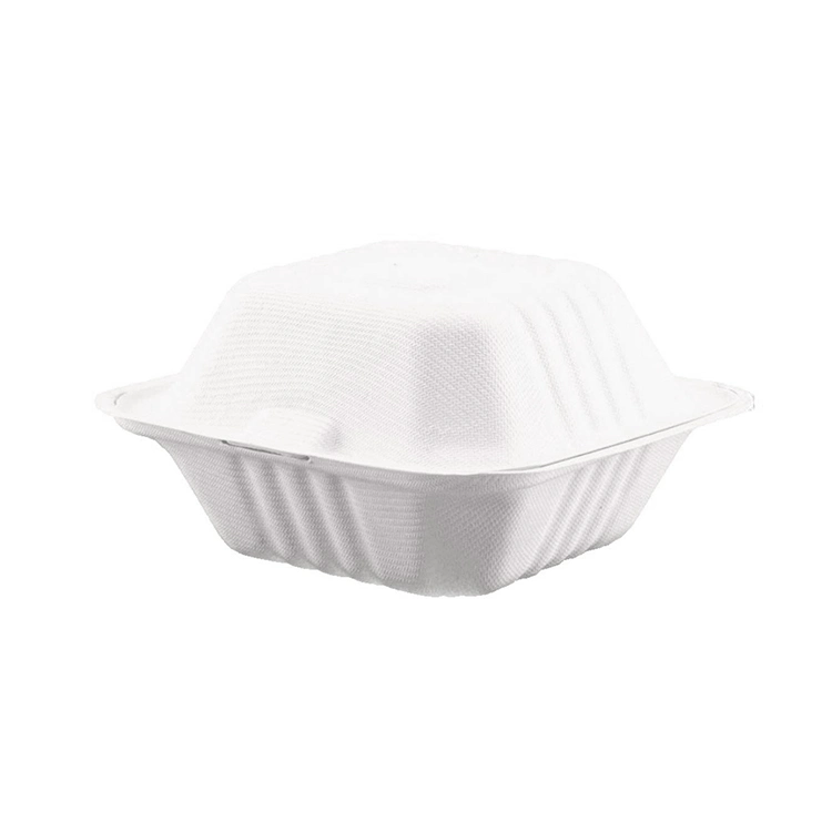 Disposable Biodegradable Compostable Sugarcane Bagasse Lunch Food Take Away Box Container