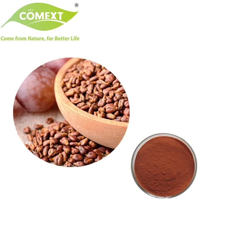 Comext Factory Vitis Vinifera 95% Proanthocyanidine Traubenkernextrakt für Anti-Aging