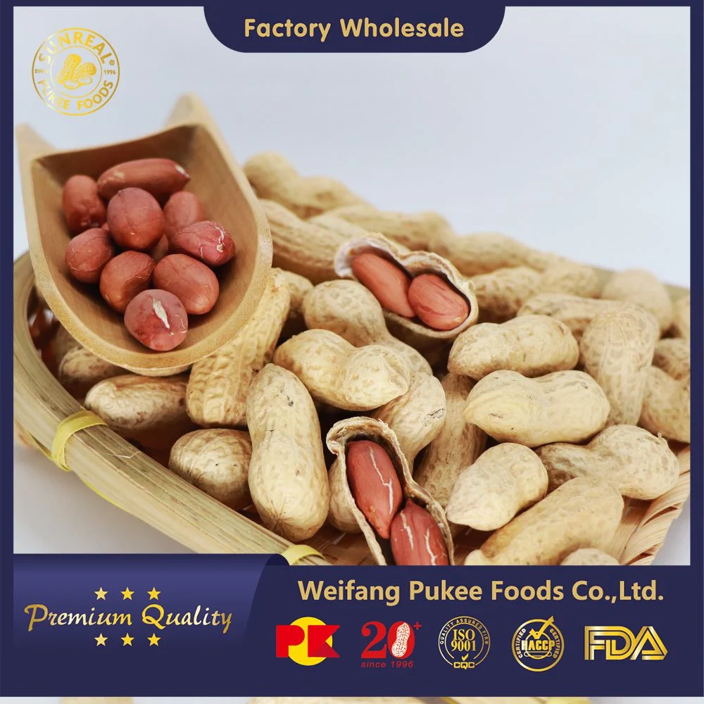 Raw Peanut Inshell /China /New Crop 13/15