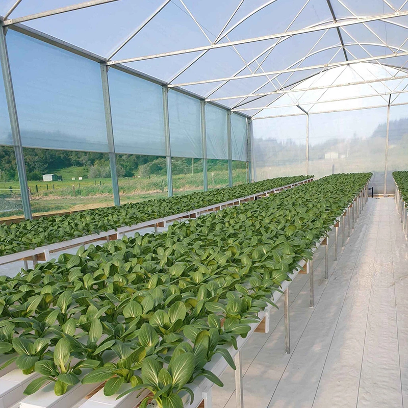 100*50mm Rechteckiges PVC NFT Kanal Landwirtschaft Vertikal ein NFT hydroponic System Vergrößern