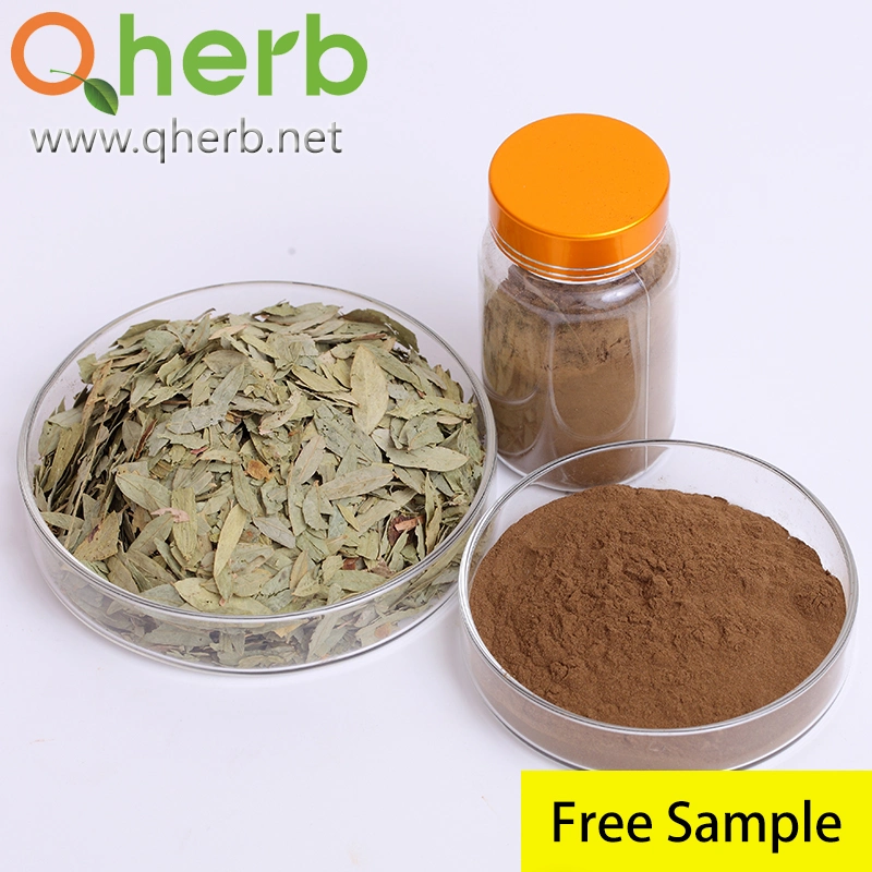 High quality/High cost performance  Senna Leaf Cassia Angustifolia Extract Sennosides Powder